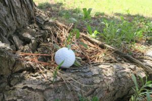 golf-ball-ax